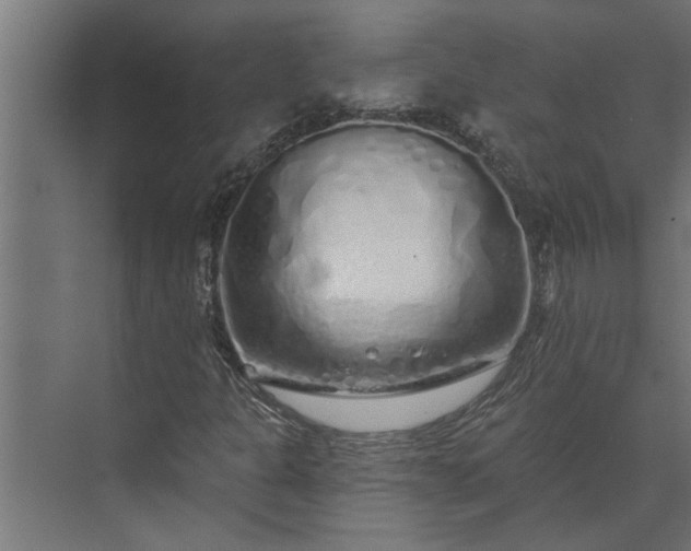 X0000073851301200608241032