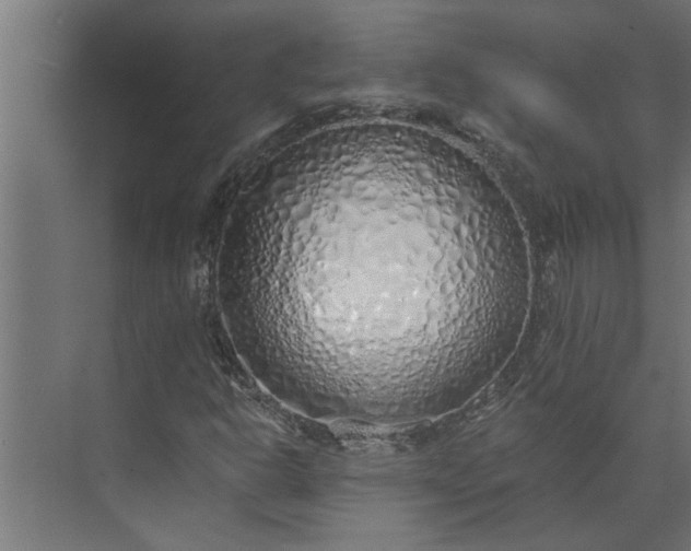 X0000073851302200608241032