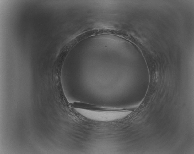 X0000073851303200608241032