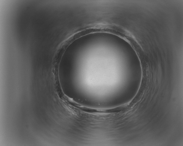 X0000073851304200608241032