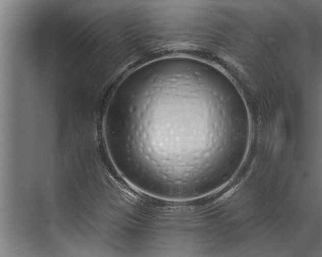 X0000073851305200608241032