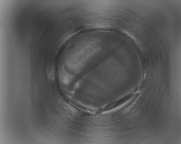 X0000073851306200608241032