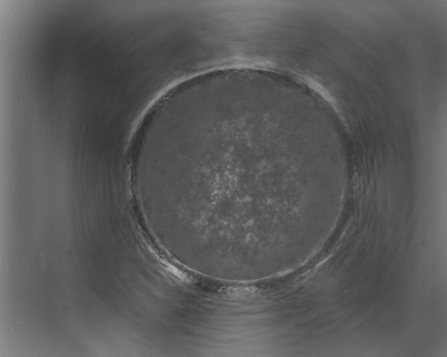 X0000073851310200608241032