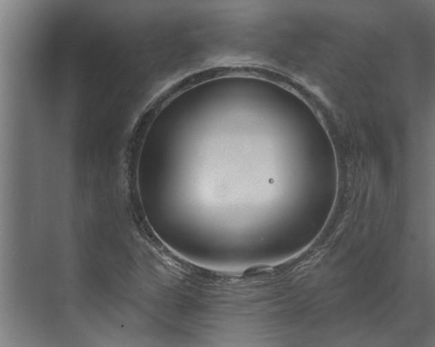 X0000073851311200608241032