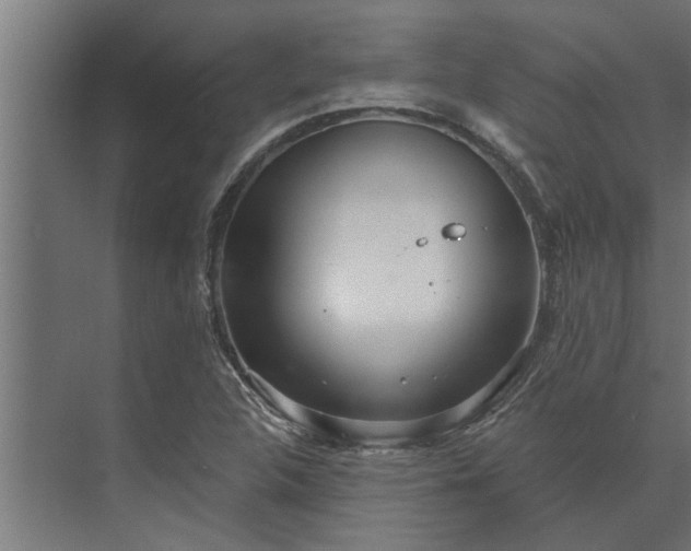 X0000073851312200608241032