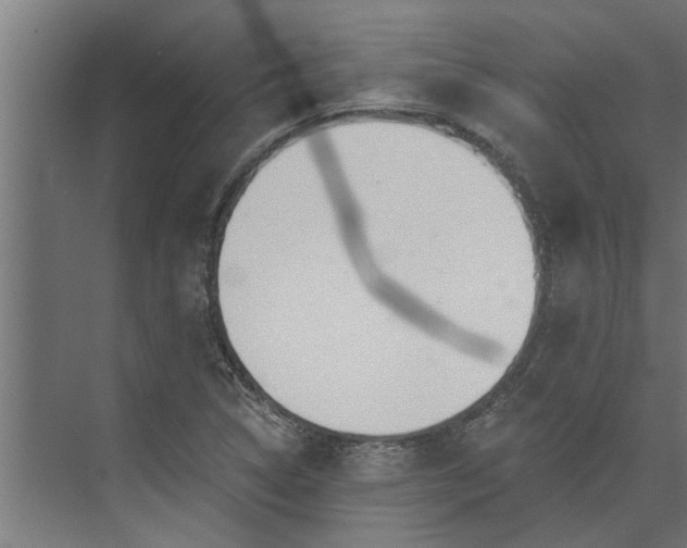 X0000073851314200608241032