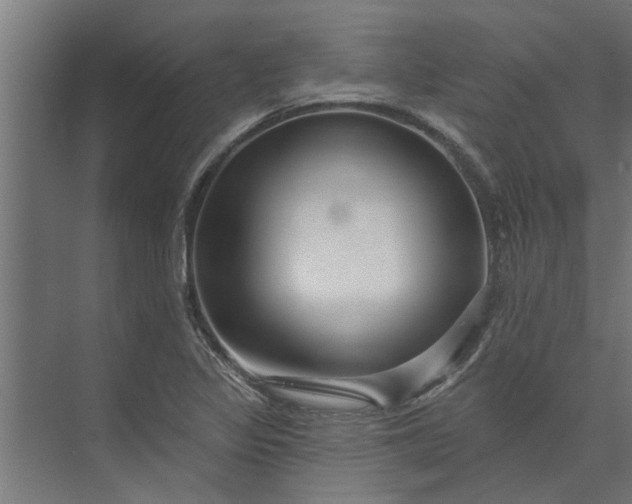 X0000073851317200608241032