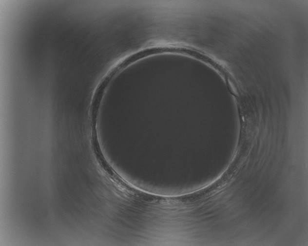 X0000073851319200608241032