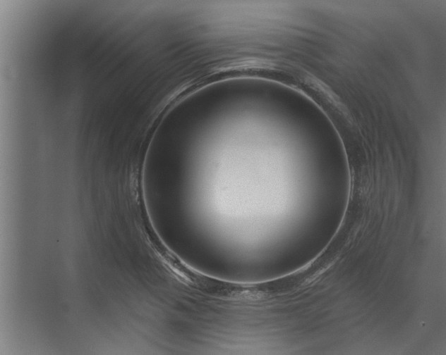 X0000073851321200608241032