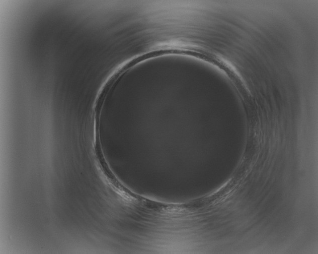 X0000073851323200608241032