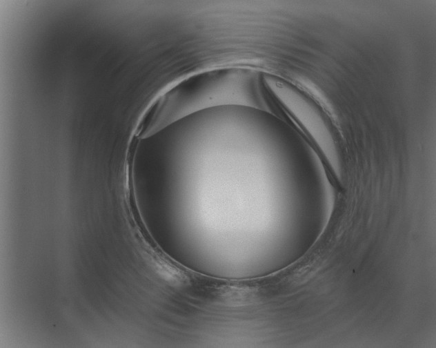 X0000073851324200608241032