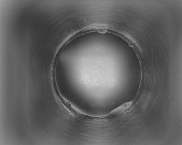 X0000073851325200608241032