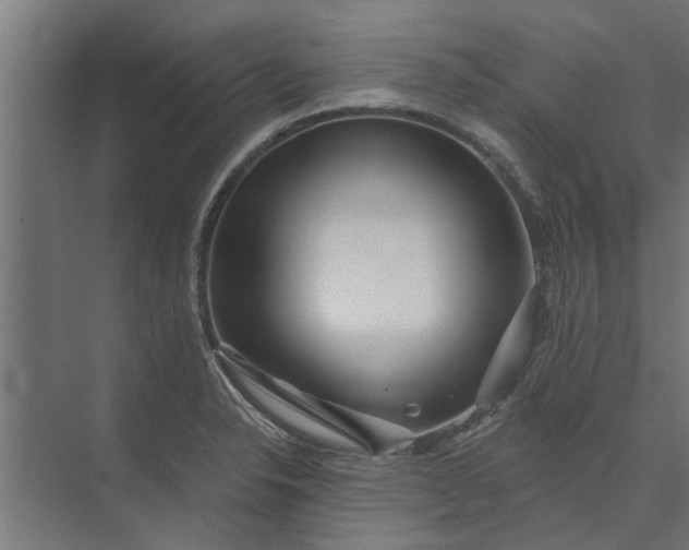 X0000073851326200608241032