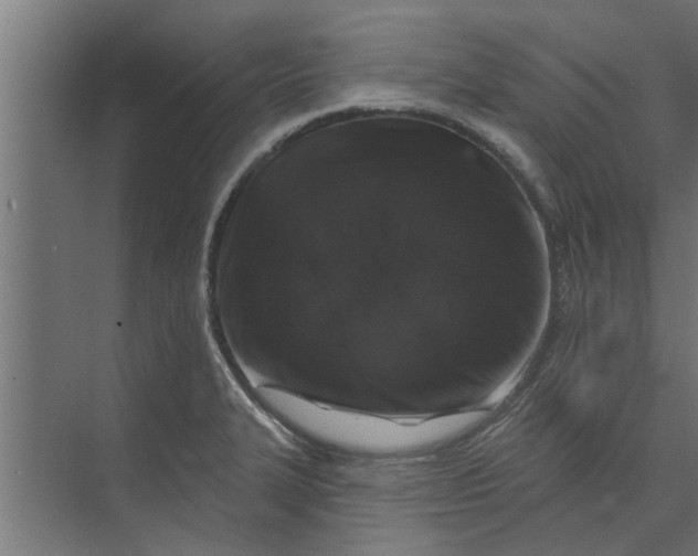 X0000073851327200608241033