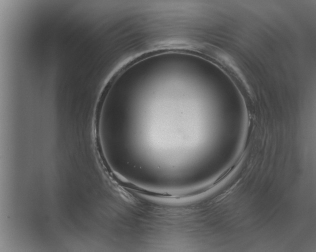 X0000073851328200608241033