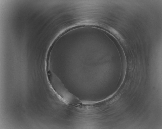 X0000073851334200608241033