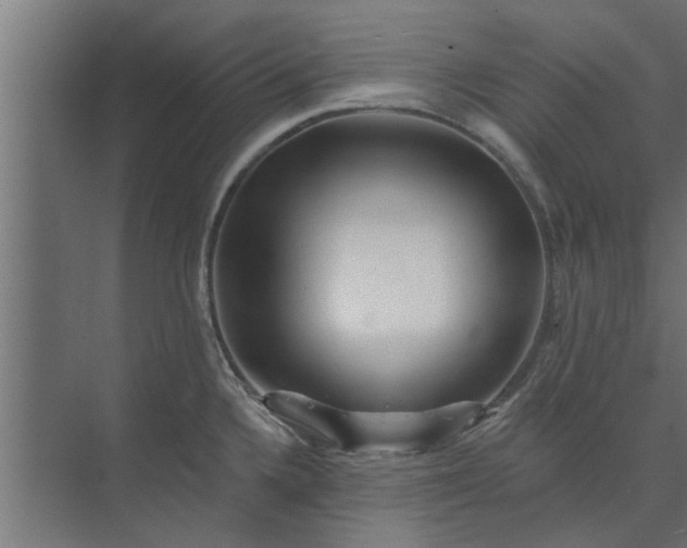 X0000073851336200608241033