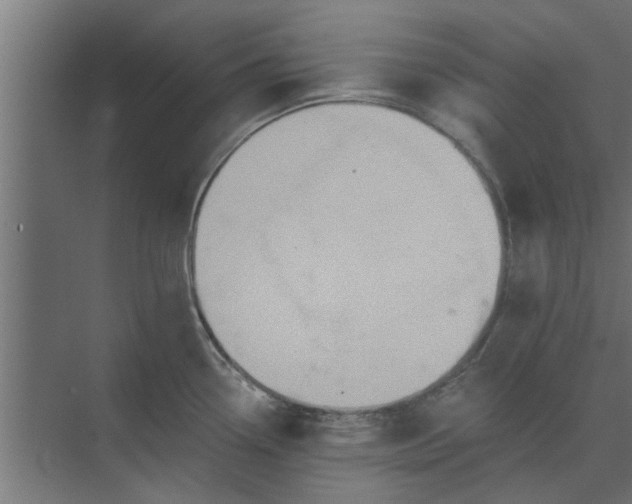 X0000073851338200608241033