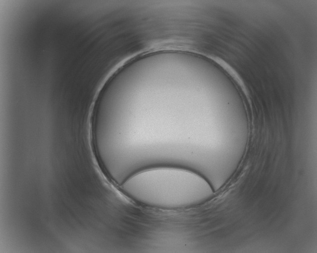 X0000073851341200608241033