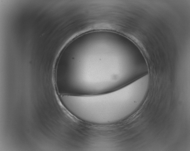 X0000073851342200608241033