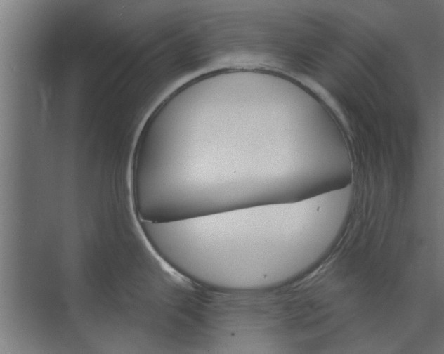 X0000073851343200608241033