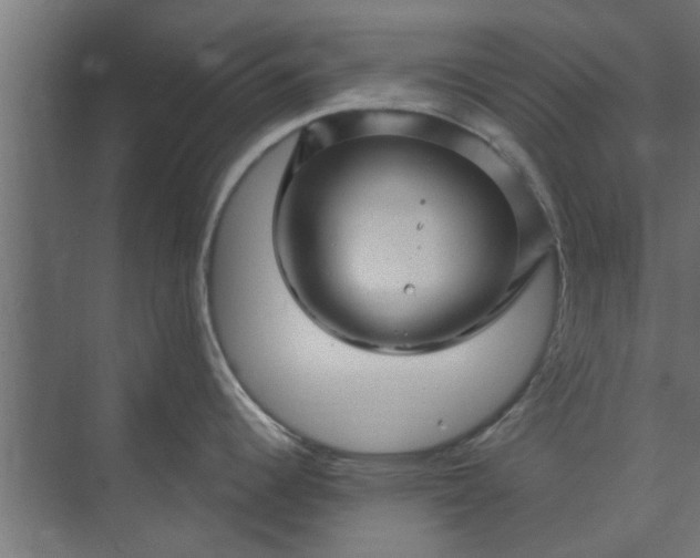 X0000073851344200608241033