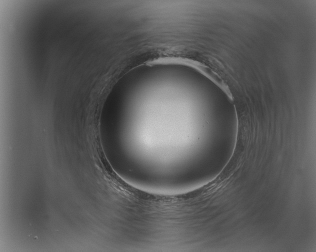 X0000073851345200608241032