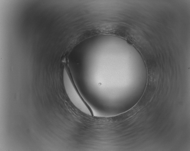 X0000073851346200608241032