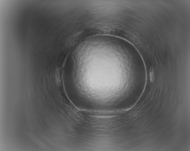 X0000073851347200608241032