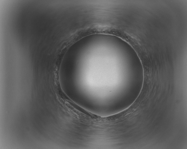 X0000073851349200608241032