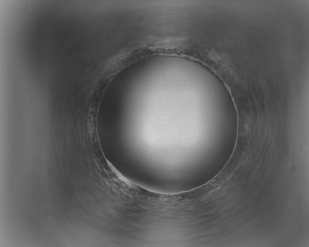 X0000073851350200608241032