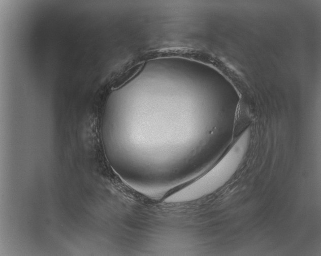 X0000073851351200608241032