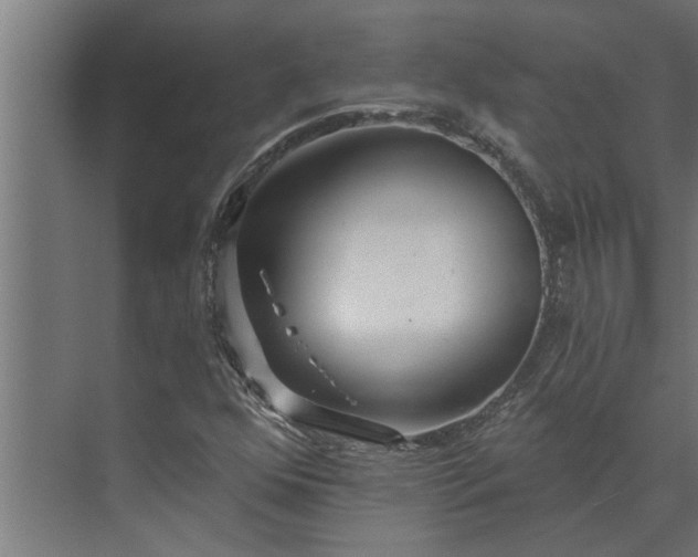 X0000073851352200608241032