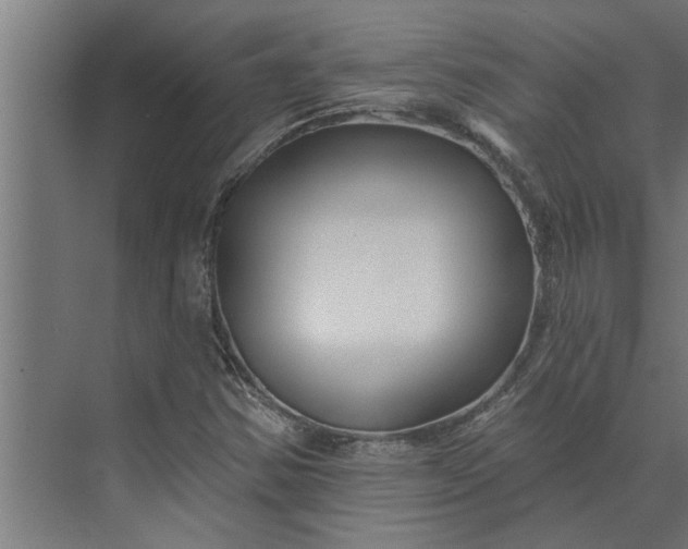 X0000073851354200608241032