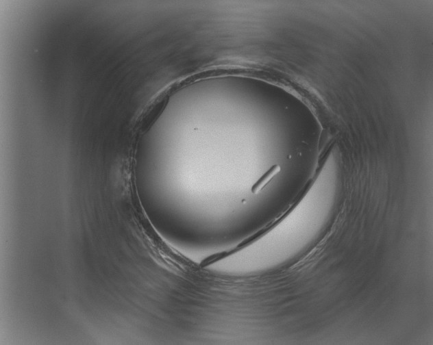 X0000073851355200608241032