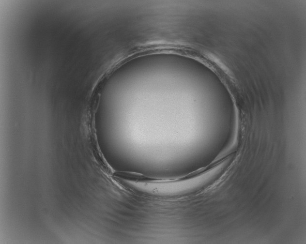 X0000073851357200608241032