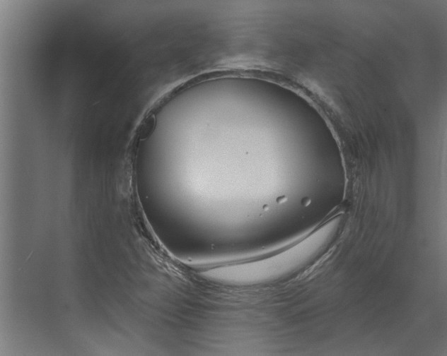 X0000073851358200608241032