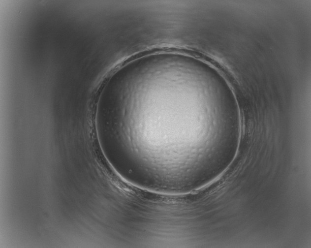 X0000073851359200608241032