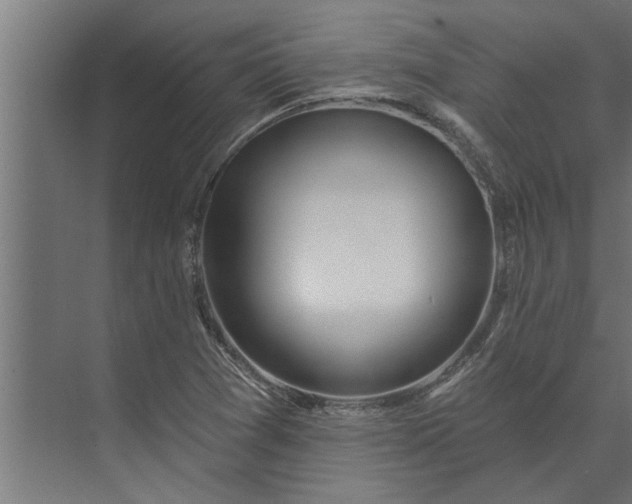 X0000073851361200608241032