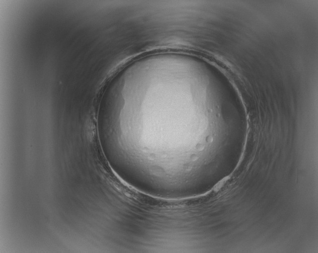 X0000073851363200608241032