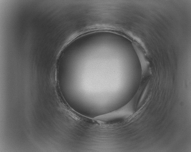 X0000073851365200608241032