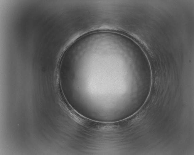 X0000073851367200608241032