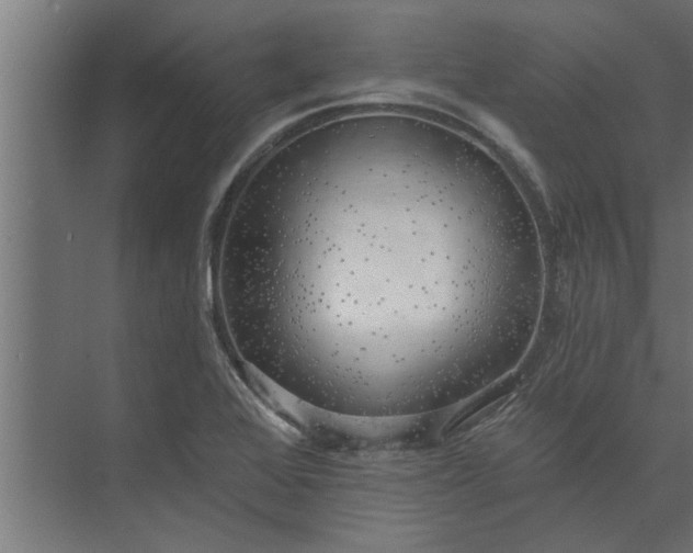 X0000073851368200608241032