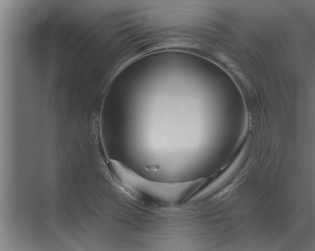 X0000073851369200608241032