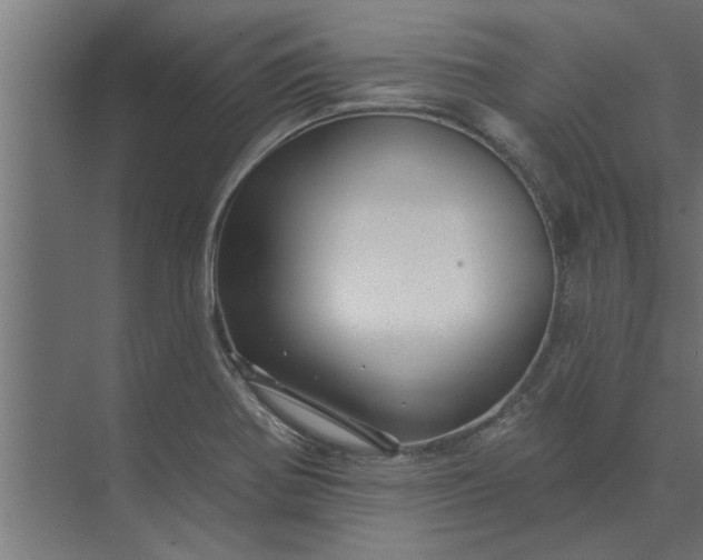 X0000073851370200608241032