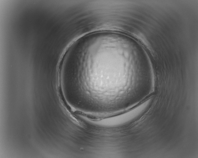 X0000073851371200608241032