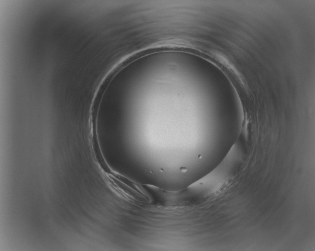 X0000073851372200608241032