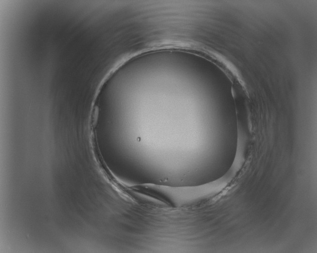 X0000073851373200608241032