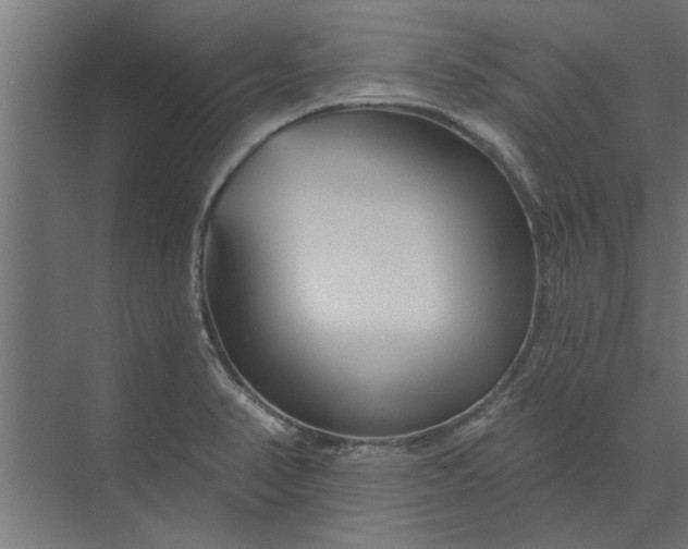 X0000073851374200608241031