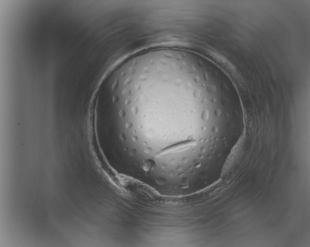 X0000073851375200608241031